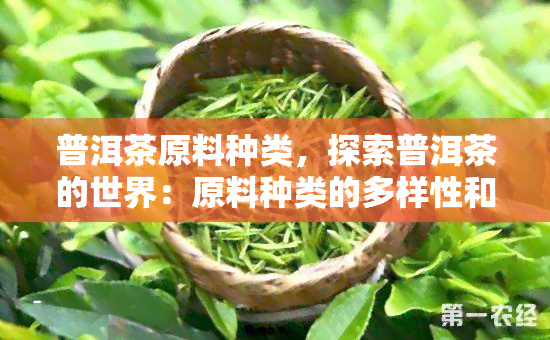 普洱茶原料种类，探索普洱茶的世界：原料种类的多样性和独特性