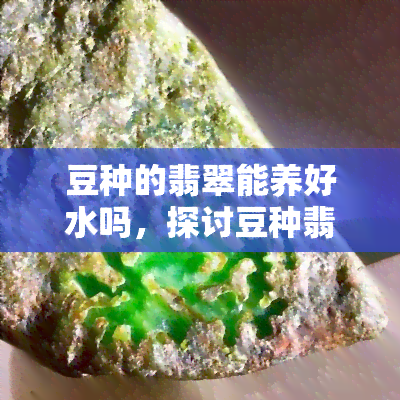 豆种的翡翠能养好水吗，探讨豆种翡翠的保养方法：能否养出好水头？