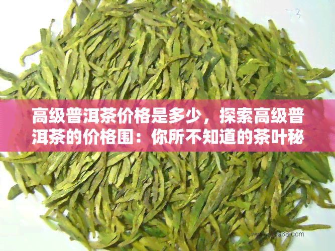 高级普洱茶价格是多少，探索高级普洱茶的价格围：你所不知道的茶叶秘密