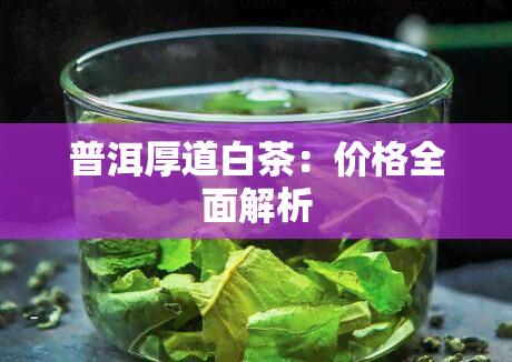 普洱厚道白茶：价格全面解析