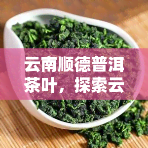 云南顺德普洱茶叶，探索云南美食：品尝云南顺德普洱茶叶的优质普洱茶