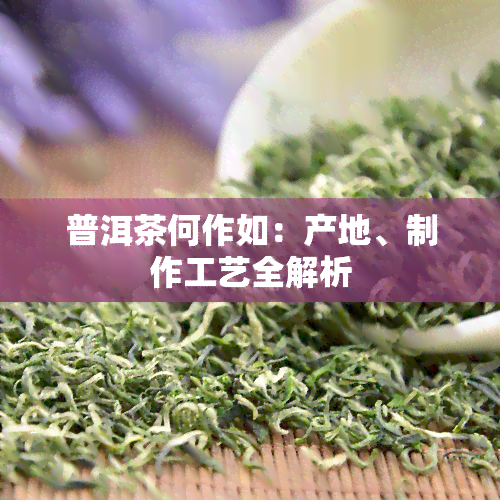 普洱茶何作如：产地、制作工艺全解析