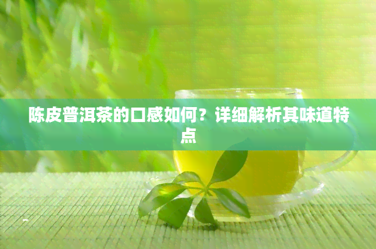 陈皮普洱茶的口感如何？详细解析其味道特点