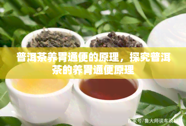 普洱茶养胃通便的原理，探究普洱茶的养胃通便原理