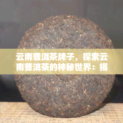 云南普洱茶牌子，探索云南普洱茶的神秘世界：揭秘各大知名