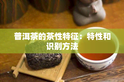 普洱茶的茶性特征：特性和识别方法