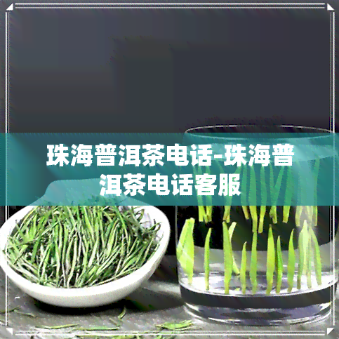 珠海普洱茶电话-珠海普洱茶电话客服