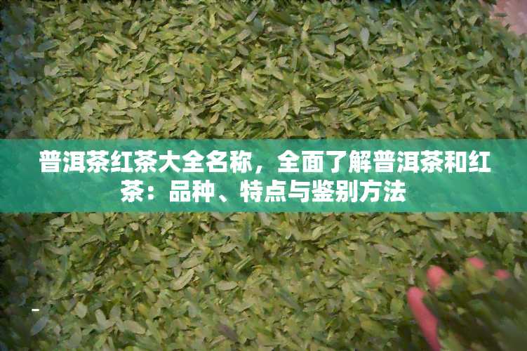 普洱茶红茶大全名称，全面了解普洱茶和红茶：品种、特点与鉴别方法