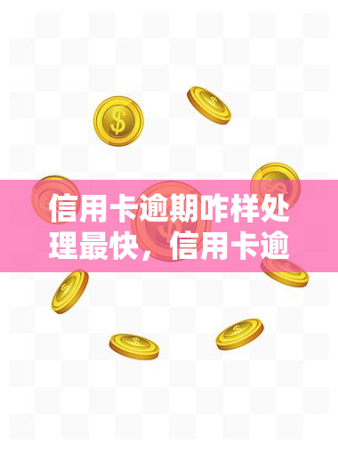 信用卡逾期咋样处理最快，信用卡逾期如何快速解决？这份指南告诉你答案！