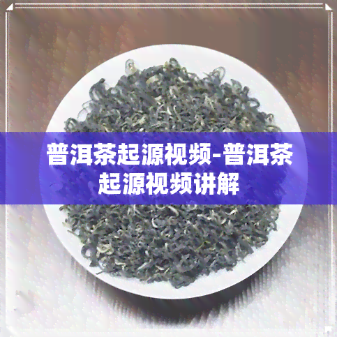 普洱茶起源视频-普洱茶起源视频讲解