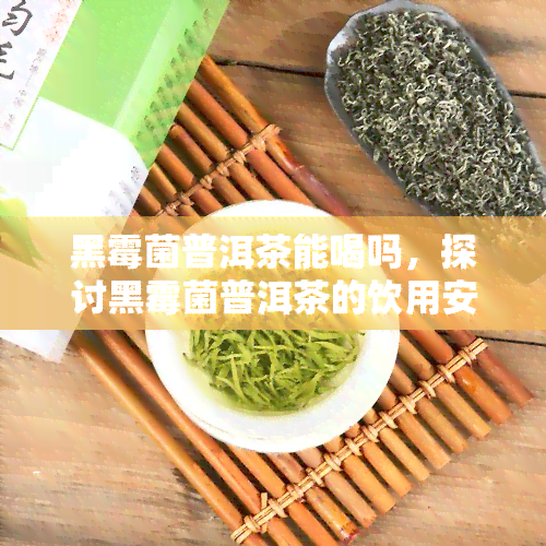 黑霉菌普洱茶能喝吗，探讨黑霉菌普洱茶的饮用安全性