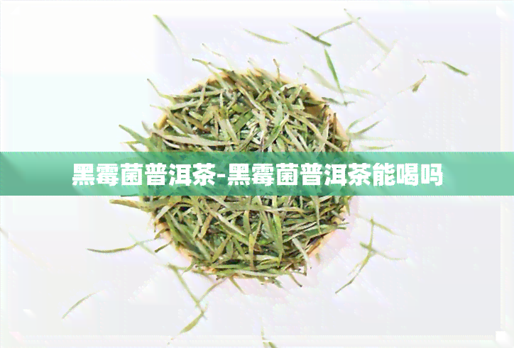 黑霉菌普洱茶-黑霉菌普洱茶能喝吗