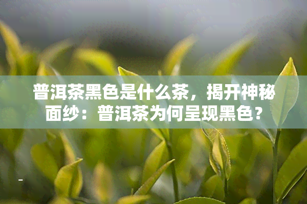 普洱茶黑色是什么茶，揭开神秘面纱：普洱茶为何呈现黑色？