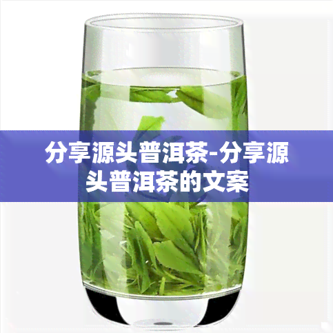 分享源头普洱茶-分享源头普洱茶的文案