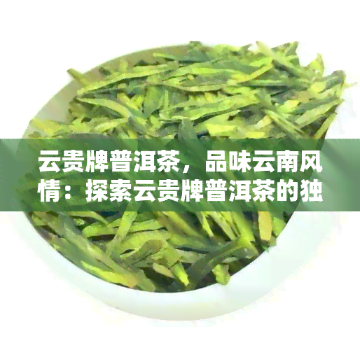 云贵牌普洱茶，品味云南风情：探索云贵牌普洱茶的独特魅力