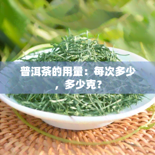 普洱茶的用量：每次多少，多少克？