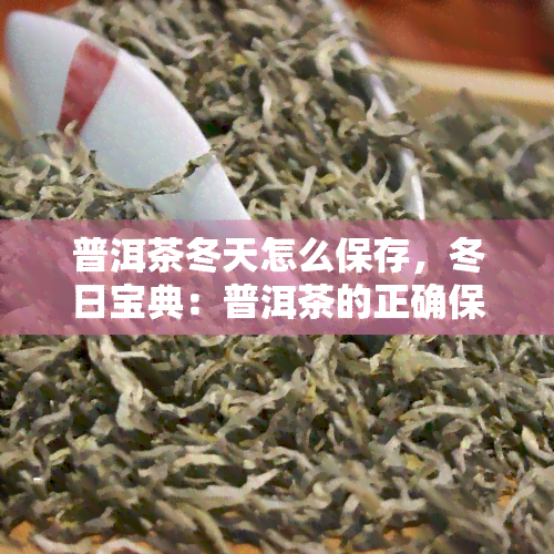 普洱茶冬天怎么保存，冬日宝典：普洱茶的正确保存方法