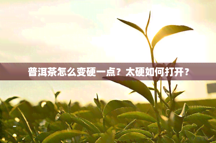 普洱茶怎么变硬一点？太硬如何打开？