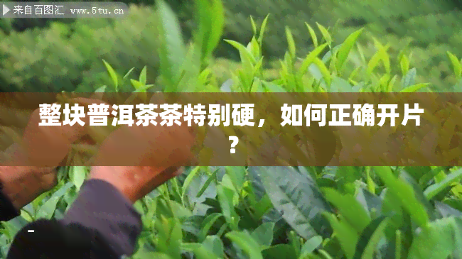 整块普洱茶茶特别硬，如何正确开片？