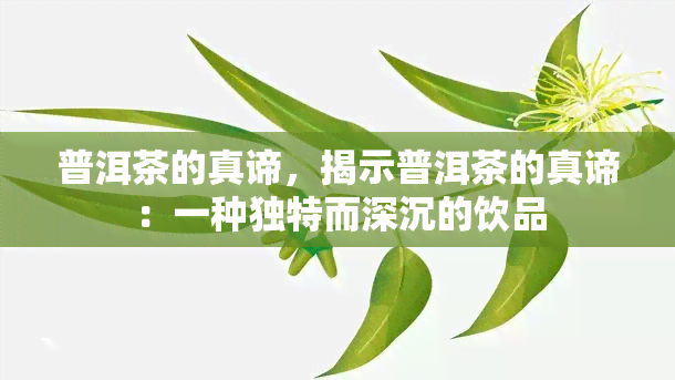 普洱茶的真谛，揭示普洱茶的真谛：一种独特而深沉的饮品