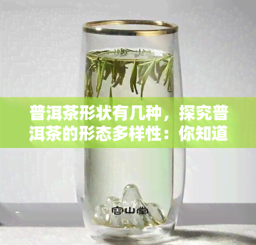 普洱茶形状有几种，探究普洱茶的形态多样性：你知道它有多少种形状吗？