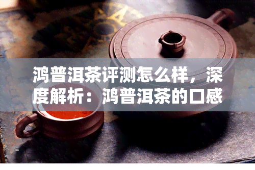 鸿普洱茶评测怎么样，深度解析：鸿普洱茶的口感与品质如何？