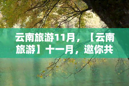 云南旅游11月，【云南旅游】十一月，邀你共赴彩云之南！