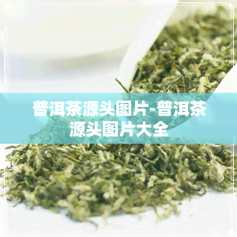 普洱茶源头图片-普洱茶源头图片大全