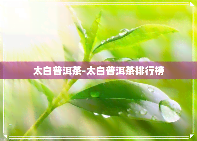 太白普洱茶-太白普洱茶排行榜