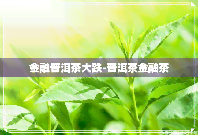 金融普洱茶大跌-普洱茶金融茶