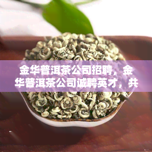 金华普洱茶公司招聘，金华普洱茶公司诚聘英才，共筑美好未来！