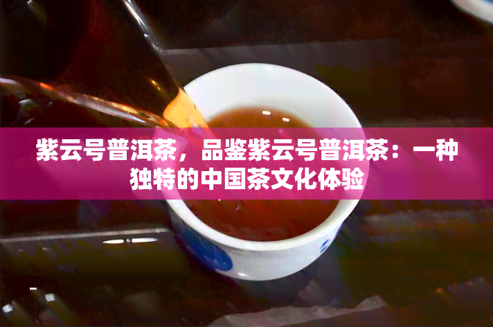 紫云号普洱茶，品鉴紫云号普洱茶：一种独特的中国茶文化体验