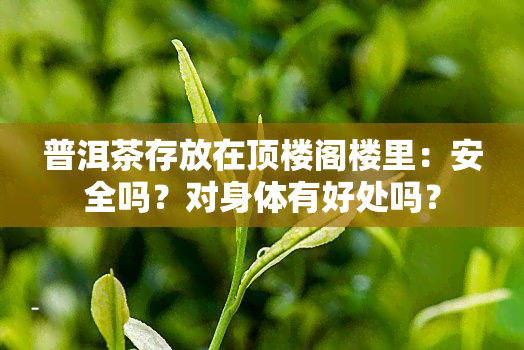 普洱茶存放在顶楼阁楼里：安全吗？对身体有好处吗？