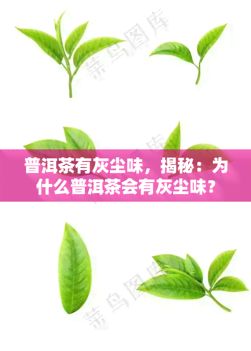 普洱茶有灰尘味，揭秘：为什么普洱茶会有灰尘味？