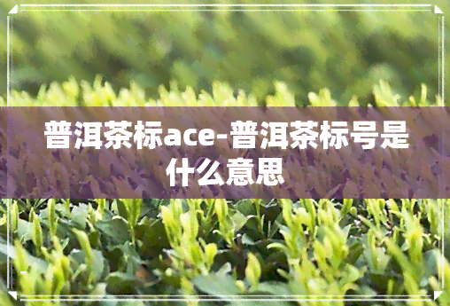 普洱茶标ace-普洱茶标号是什么意思