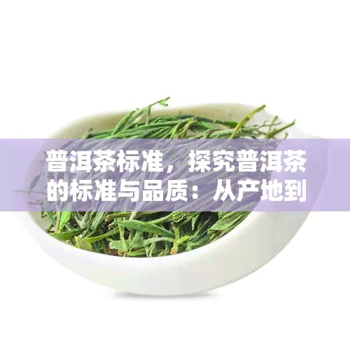 普洱茶标准，探究普洱茶的标准与品质：从产地到冲泡的全过程解析