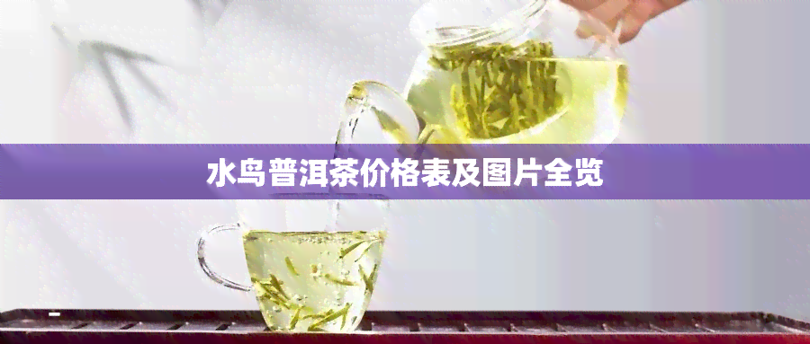 水鸟普洱茶价格表及图片全览