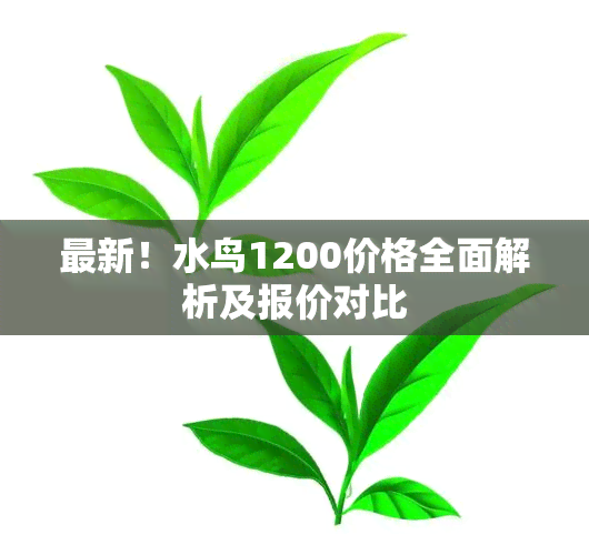 最新！水鸟1200价格全面解析及报价对比