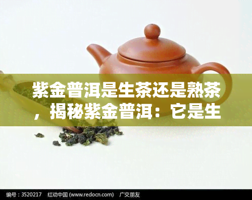 紫金普洱是生茶还是熟茶，揭秘紫金普洱：它是生茶还是熟茶？