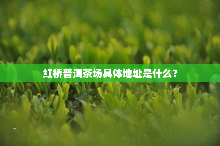 红桥普洱茶场具体地址是什么？