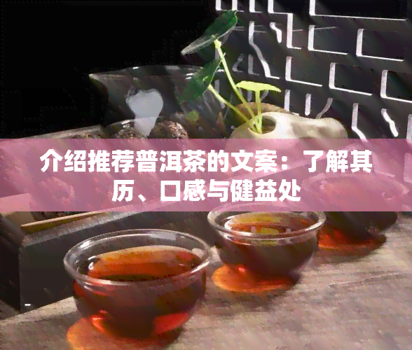 介绍推荐普洱茶的文案：了解其历、口感与健益处