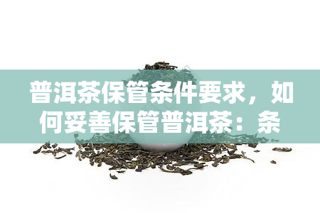 普洱茶保管条件要求，如何妥善保管普洱茶：条件要求全解析