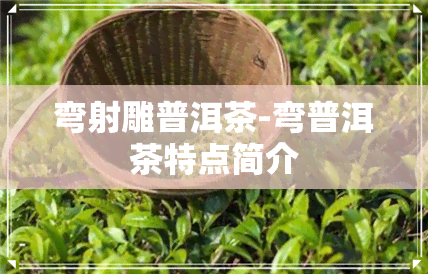 弯射雕普洱茶-弯普洱茶特点简介