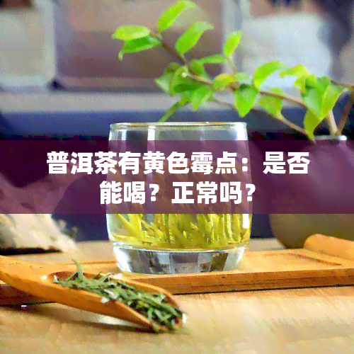 普洱茶有黄色霉点：是否能喝？正常吗？