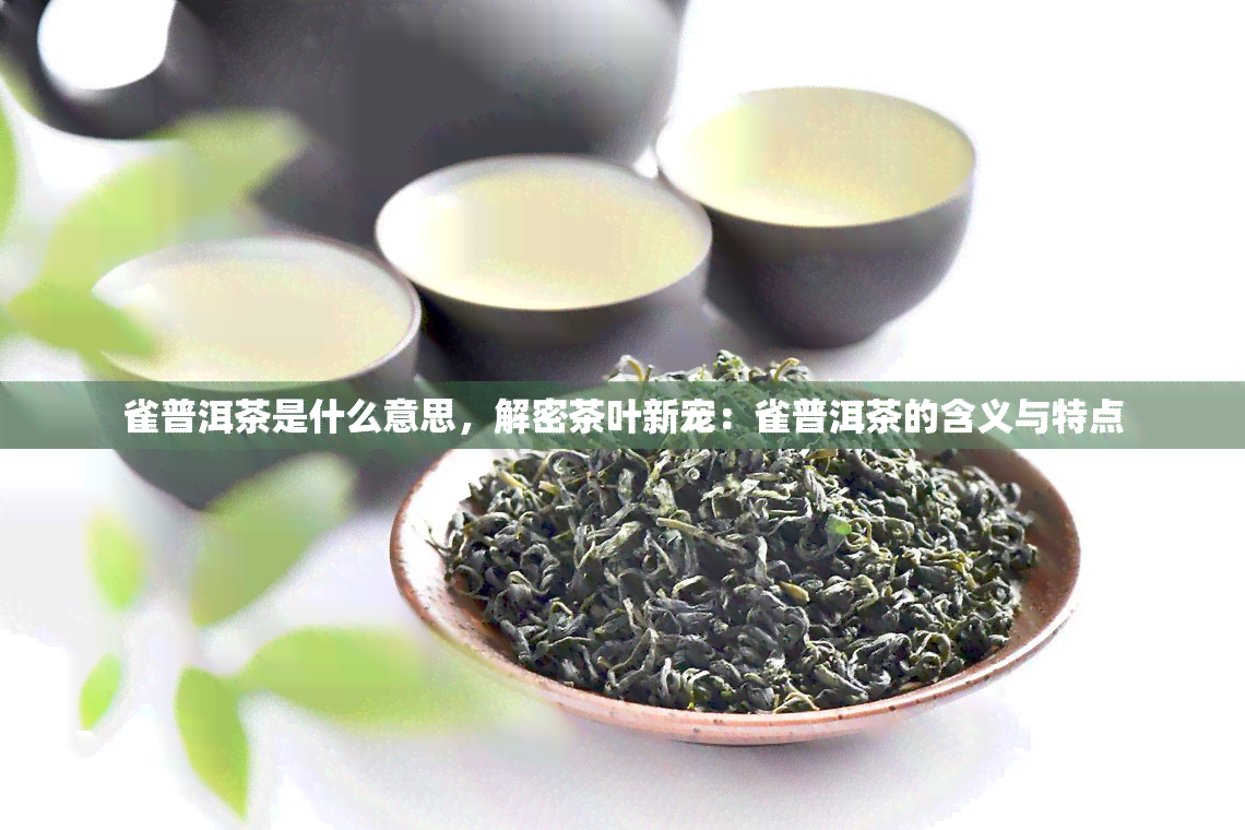 雀普洱茶是什么意思，解密茶叶新宠：雀普洱茶的含义与特点