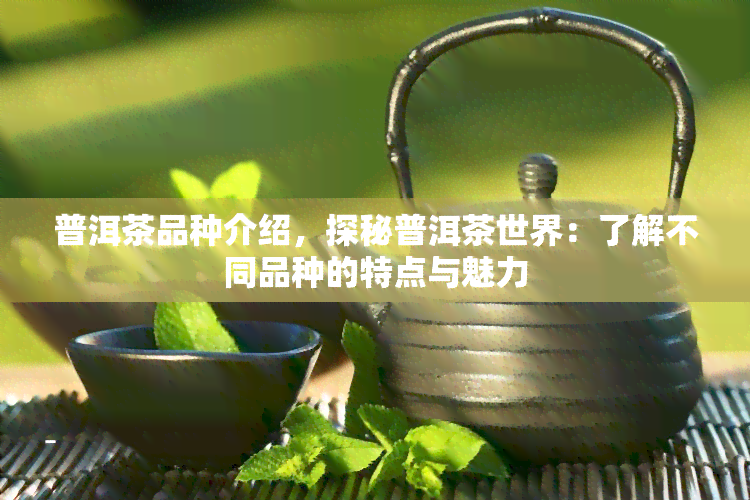 普洱茶品种介绍，探秘普洱茶世界：了解不同品种的特点与魅力