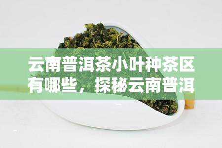 云南普洱茶小叶种茶区有哪些，探秘云南普洱茶：小叶种茶区全解析