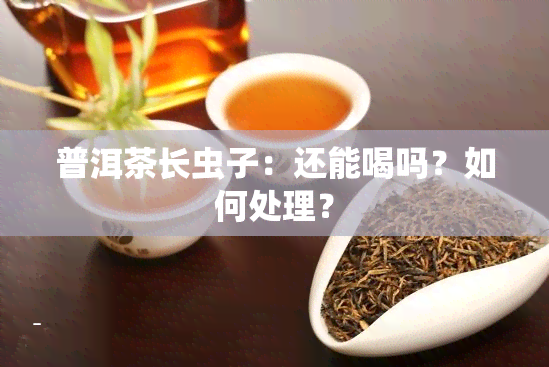 普洱茶长虫子：还能喝吗？如何处理？