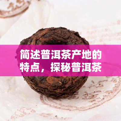 简述普洱茶产地的特点，探秘普洱茶的故乡：揭秘其独特产地特点