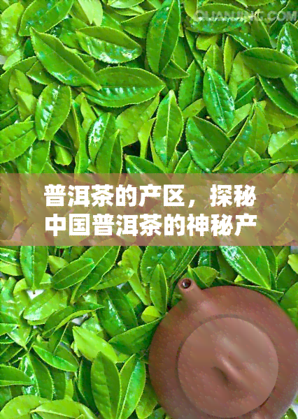 普洱茶的产区，探秘中国普洱茶的神秘产区